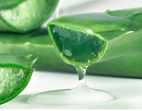 Moisturizing Aloe Gel Face Cream